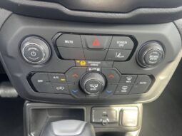 
										Jeep Renegade 2022 full									
