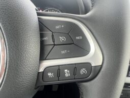 
										Jeep Renegade 2022 full									