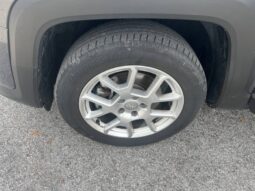 
										Jeep Renegade 2022 full									